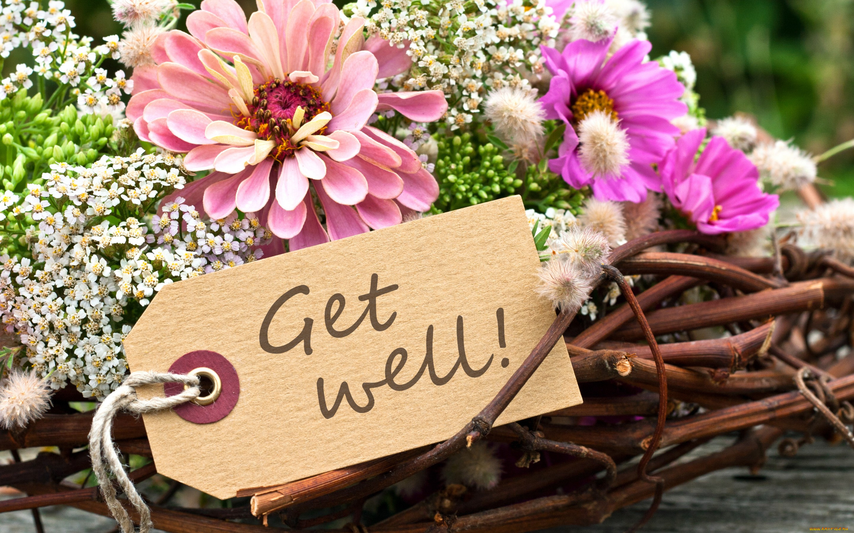 , ,  , get, well, flowers, 